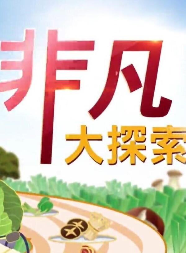 精品偷拍美女被操的满口淫语大叫喜欢你操我鸡巴又粗又长把我小骚逼都操开了好痒啊 - 69堂
